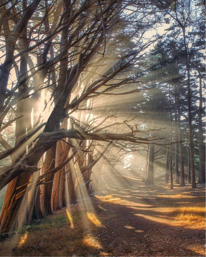 Stunning Oceanview Coastal Home Beach Trails Family Activities Montara المظهر الخارجي الصورة